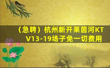 银川酒吧招聘